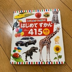 【30円】最終値下げ⭐︎はじめてずかん415英語つき