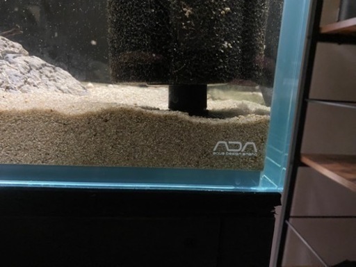 ADA 120cm水槽 aquarium アクアリウム