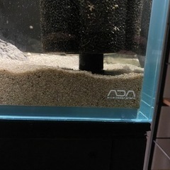ADA 120cm水槽 aquarium アクアリウム