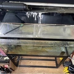 【引き取り限定】アクリル大型水槽台付　上部濾過　