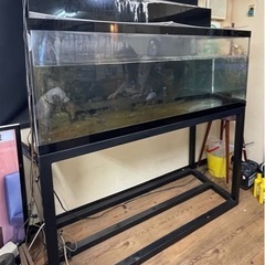【引き取り限定】アクリル大型水槽台付　上部濾過　