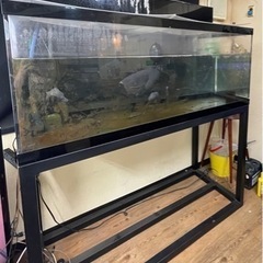 【引き取り限定】アクリル大型水槽台付　上部濾過　