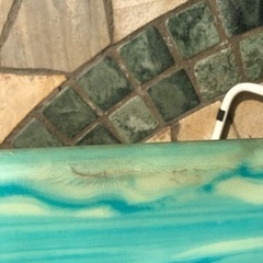 サーフボードハワイ9.3ft