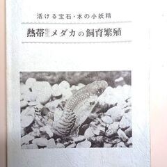 熱帯卵生メダカの飼育繁殖の本