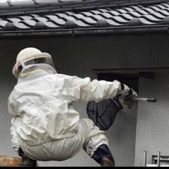 高知県か愛媛県で害虫、害獣駆除、便利屋を業務委託で募集 - 軽作業