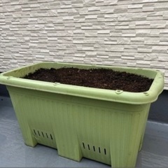 プランター　植木鉢　家庭菜園