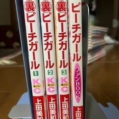 裏ピーチガール  1～3巻全巻セット　ファンブック　上田美和