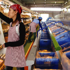 【急募4/11】平塚厚木、物流倉庫での梱包作業😵