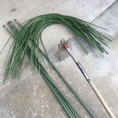 家庭菜園　鍬&支柱