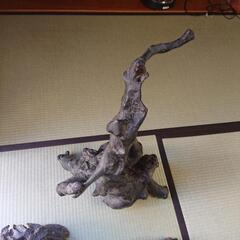 大正レトロ/明治レトロ/昭和レトロ /希少価値】天然木製品置物 孔雀