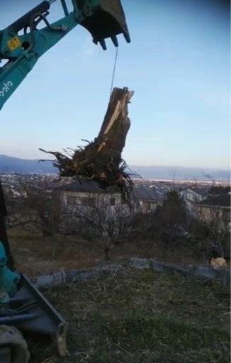 伐採　抜根　解体　相見積歓迎