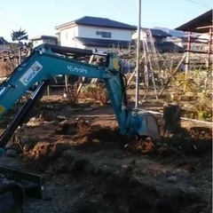 伐採　抜根　解体　相見積歓迎