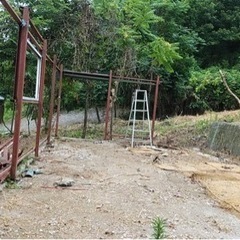 伐採　抜根　解体　相見積歓迎