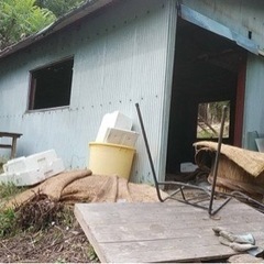 伐採　抜根　解体　相見積歓迎