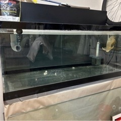 【値下げ】120センチアクリル水槽　大型水槽
