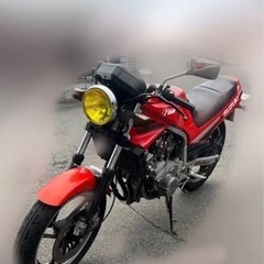 【ネット決済】GF250