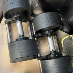 フレックスベル FLEXBELL 可変式ダンベル 20kg 4kg刻み アジャスタブルダンベル NUOBELL シルバー NUO-FLEX20