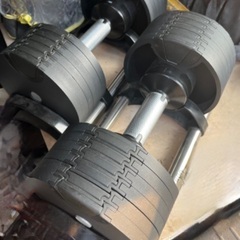 フレックスベル FLEXBELL 可変式ダンベル 20kg 4kg刻み アジャスタブルダンベル NUOBELL シルバー NUO-FLEX20