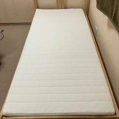 IKEA シングルベッド（キャンセル出たのでまだあります）