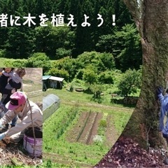 一緒に木を植えてみませんか？