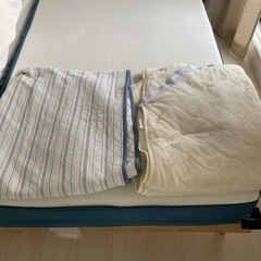 【30日限定】ニトリ　シングルベッドパット