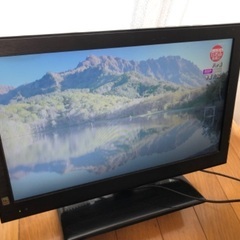 テレビ 