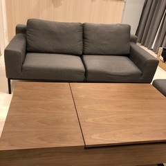 Lowya リフトアップテーブルとカウチソファーセット