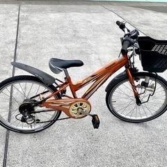 Panasonic 22インチ 6段変速 男の子 自転車 中古 子供 