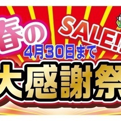 完売致しました。　ロフトベッド 18700円