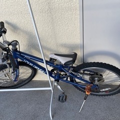 25インチ　子供自転車