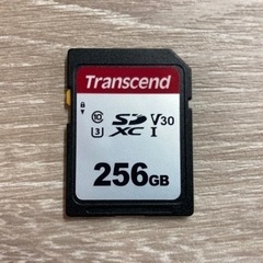 SDXCカード 256GB【Transcend】 【1点/240...