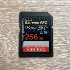 SDXCカード 256GB【SanDisk】【1点/4000円】...