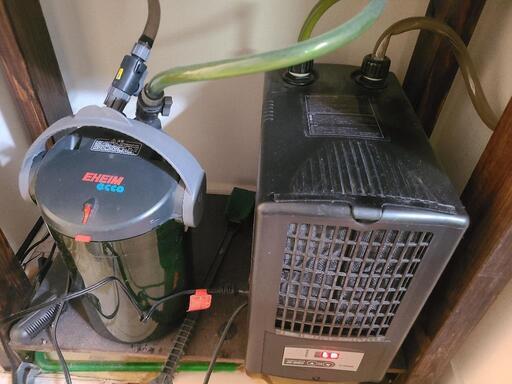 引越しの片付けの関係で13日で1度終了します。Zc-100‪α‬とイーハイム2234、60cm水槽、エアレーション、ヒーターのセット！バラ売りも可。