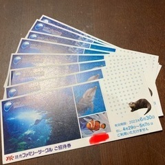 新江の島水族館　招待券