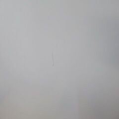 1ヶ月保証/冷蔵庫/2ドア/右開き/ホワイト/単身サイズ/新生活/1人暮らし/