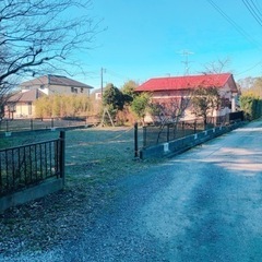 ペット可　猫も大丈夫！　敷地面積110坪家庭菜園も出来ます。車も...