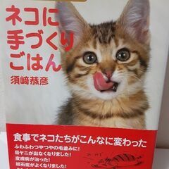【終了しました】猫の本
