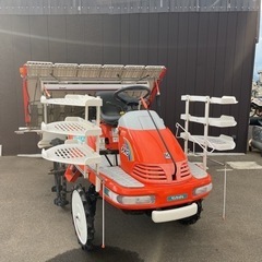 三弦地唄金細鶴屋三弦店鶴秋銘トチ子持ち金駒天然糸巻き天然撥