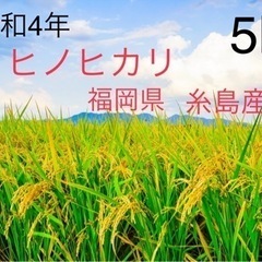 【ネット決済・配送可】糸島産　ヒノヒカリ　5kg  白米　玄米　...