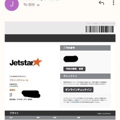 【ネット決済・配送可】ジェットスター航空券（熊本→成田行）飛行機...
