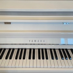 YAMAHA  NU1X