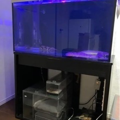 90㎝オーバーフロー水槽セット