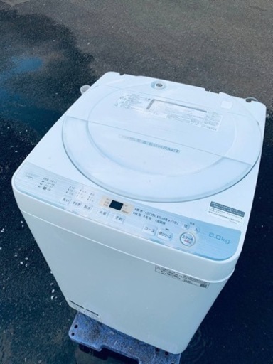 ET1527番⭐️ SHARP電気洗濯機⭐️ 2019年製