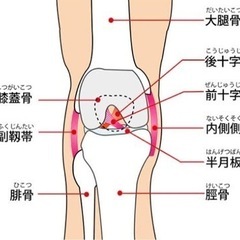 膝、股関節、足首等の痛み