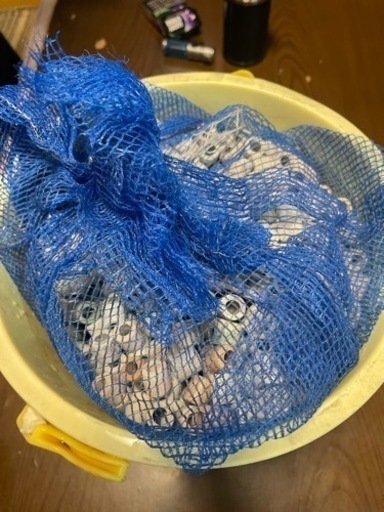 オーダーメイド 水槽 120