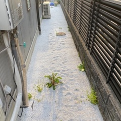 ※庭の草むしり − 愛知県