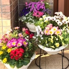 お花の飾り付けお手伝い下さい^ ^