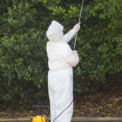 見えない場所に潜む、シロアリ・蜂・ゴキブリ等は【害虫駆除お助け隊 神奈川営業所】 - 横須賀市