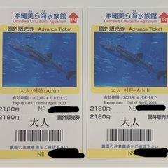 美ら海水族館チケット　大人×2枚