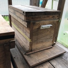 養蜂に興味あるかた、